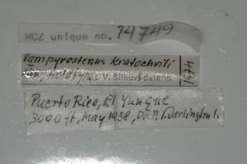 Media type: image;   Invertebrate Zoology 14749